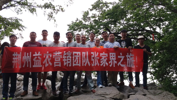 100657535.jpg 1552616091131530.jpg